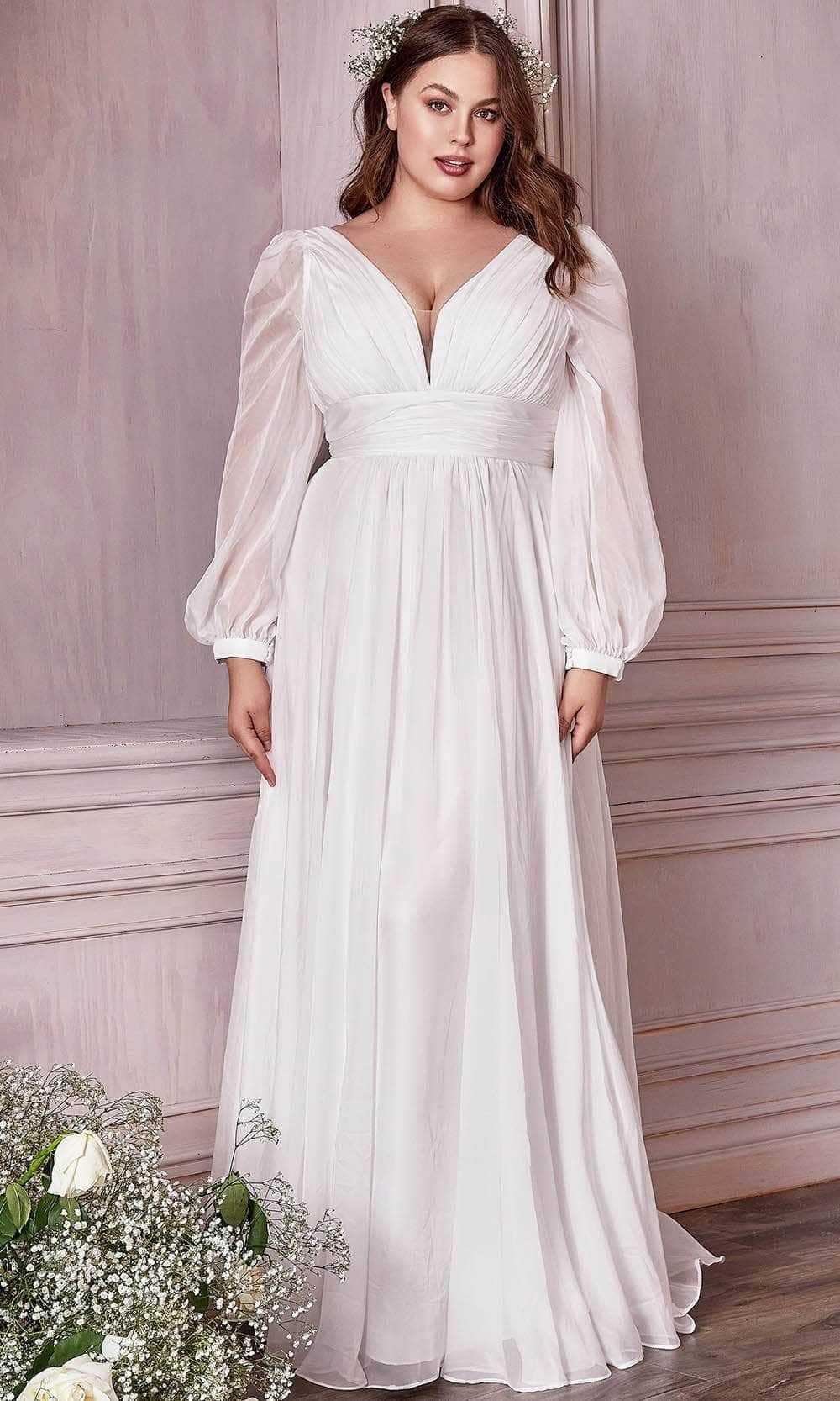 Ladivine Bridal, Ladivine Bridal CD0192W - Chiffon Bridal Gown