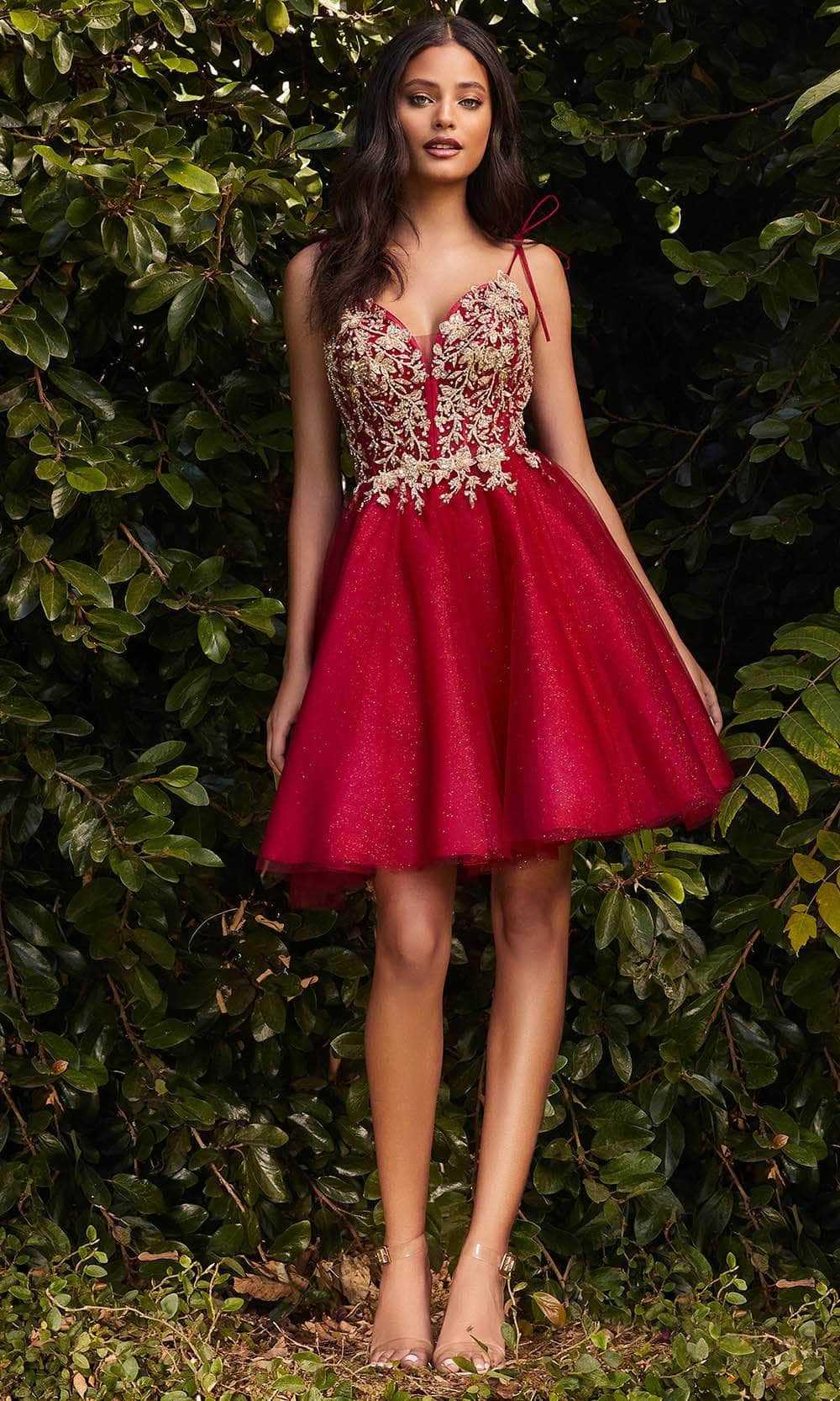 Ladivine, Ladivine CD0188 - Corset Applique Tulle and Lace Prom Dress